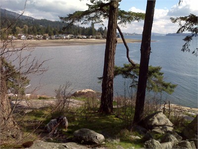 West Vancouver Seaside Cottage with one room to let