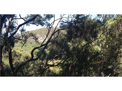 Aussie Scenic Mountain Stay - 5 Minutes walk to Bus