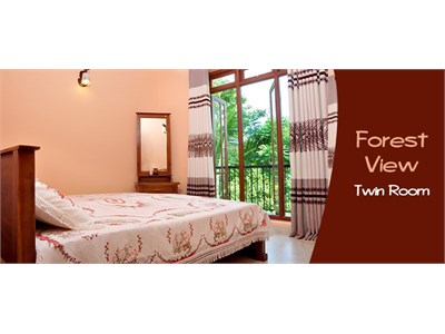 Home Stay In Kandy ( Stylish House )