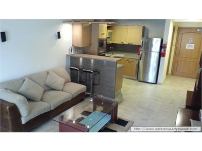 FULLY FURNISHED, COZY 1 BEDROOM APARTMENT